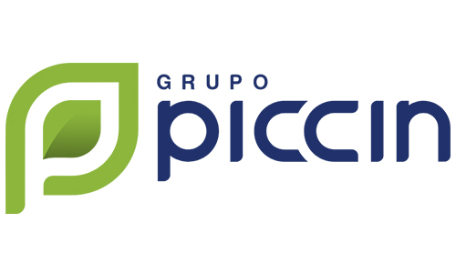 Grupo Piccini