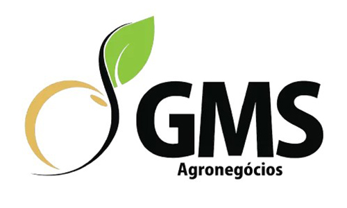 Grupo GMS